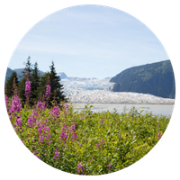 Glacier Views